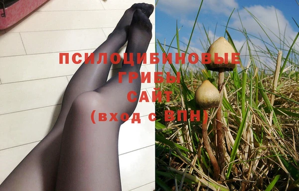 СК Михайлов