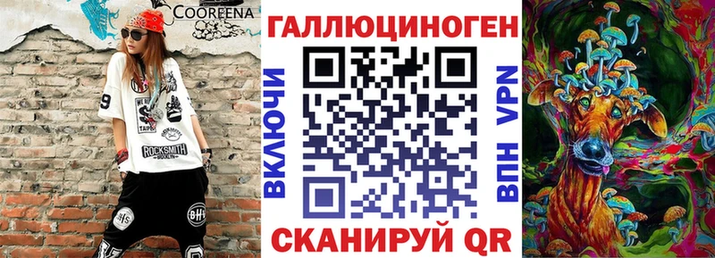 кракен маркетплейс  продажа наркотиков  Невельск  Псилоцибиновые грибы мицелий 